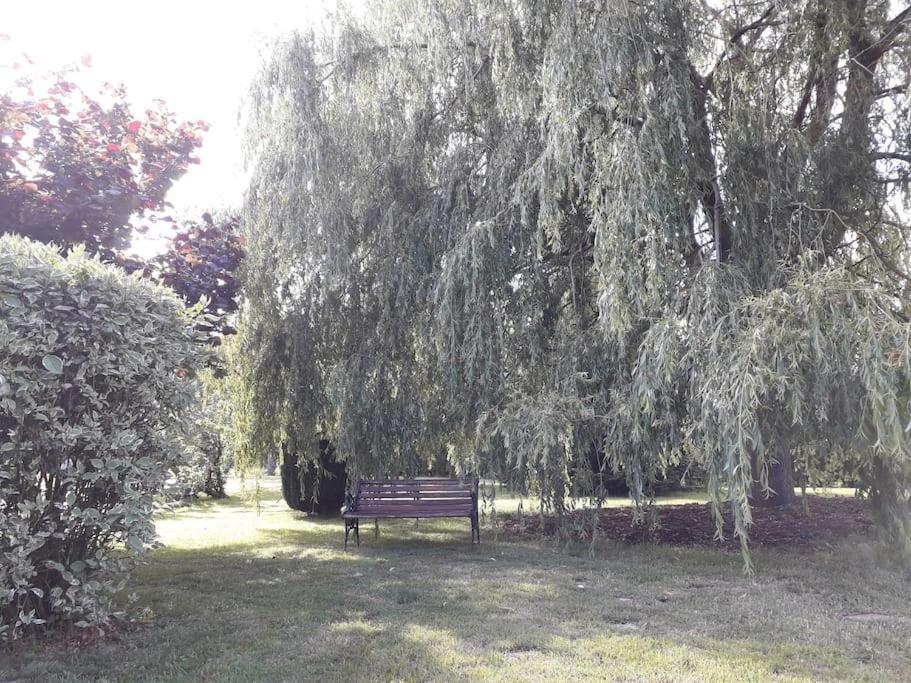 Un Petit Coin De Paradis Clairfontaine Kültér fotó