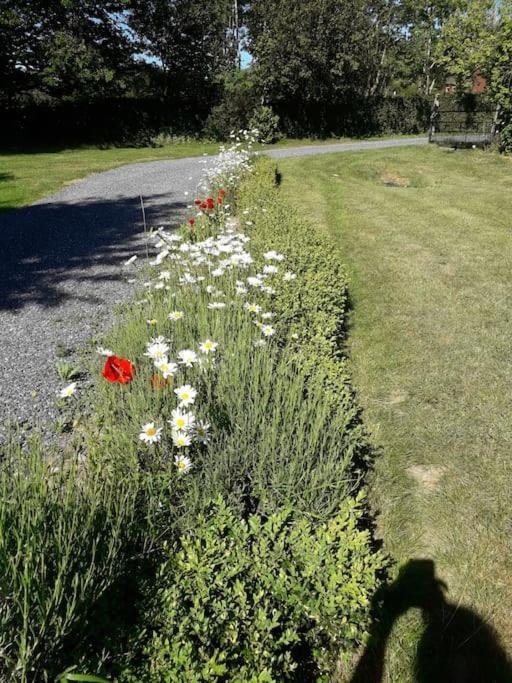 Un Petit Coin De Paradis Clairfontaine Kültér fotó